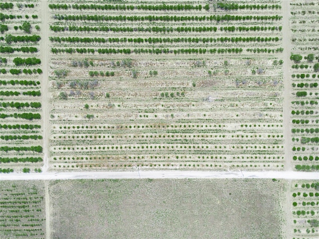 Gilbert Rd, Lake Wales, FL 33898 - photo 16