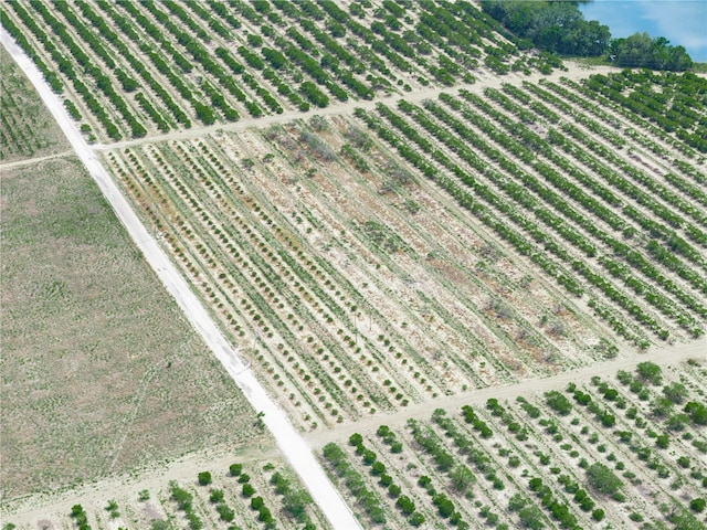 Gilbert Rd, Lake Wales, FL 33898 - photo 17