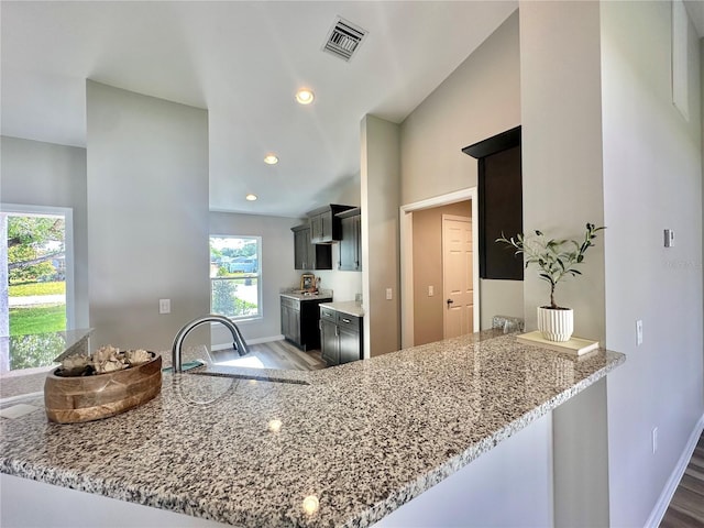 4007 Loretto Ave, Sebring, FL 33872 - kitchen with a sink, light stone counters, wood finished floors, a peninsula, and recessed lighting