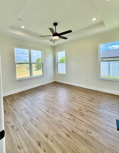 spare room featuring a raised ceiling, baseboards, and wood finished floors