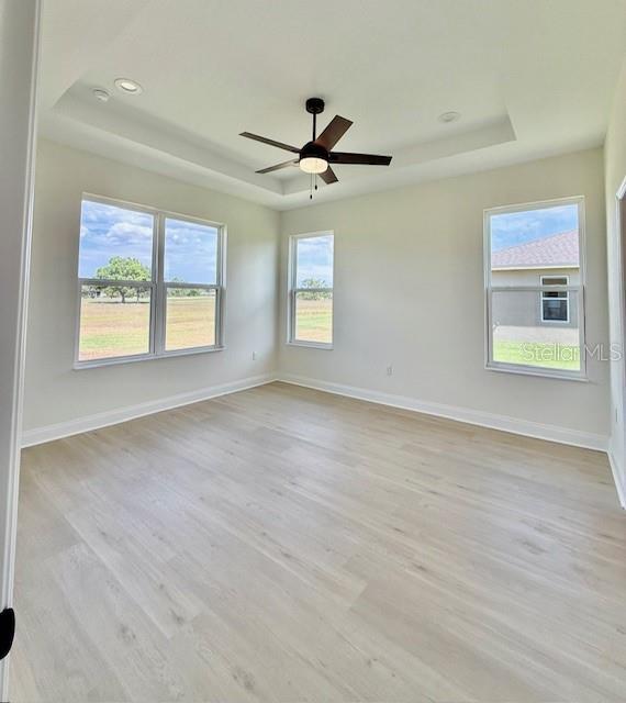 5275 Pebble Beach Dr, Sebring, FL 33872 - empty room featuring baseboards, light wood-style flooring, and a raised ceiling