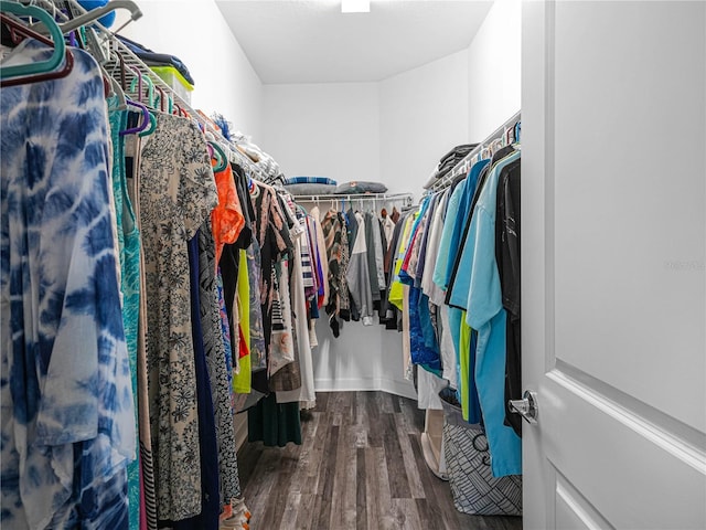 spacious closet featuring wood finished floors