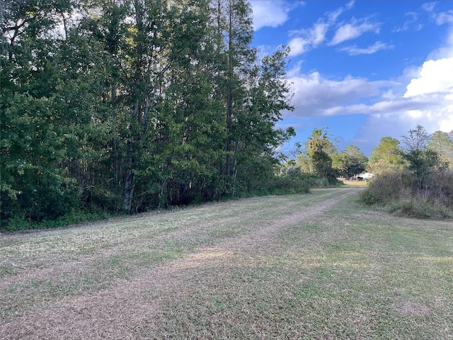 13333 Misti Loop, Lakeland, FL 33809