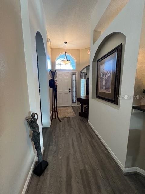 135 Minniehaha Cir, Haines City, FL 33844 - foyer featuring dark wood-style flooring, arched walkways, and baseboards