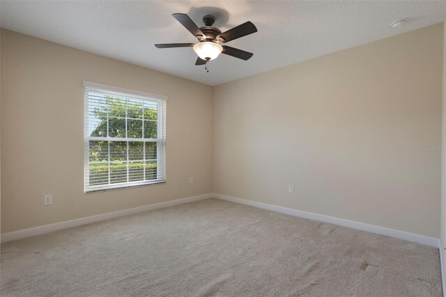 3844 Bedford Ave, Winter Haven, FL 33884 - photo 25