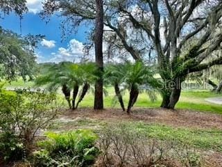133 Palm View Ct Unit 3513/4, Haines City, FL 33844 - view of local wilderness