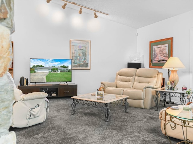 409 N 6th St, Lake Hamilton, FL 33851 - carpeted living area with vaulted ceiling and rail lighting