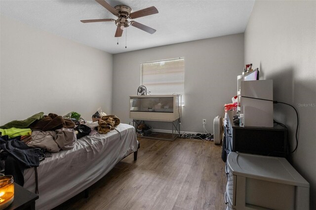 5617 Struthers Ct, Winter Haven, FL 33884 - photo 19
