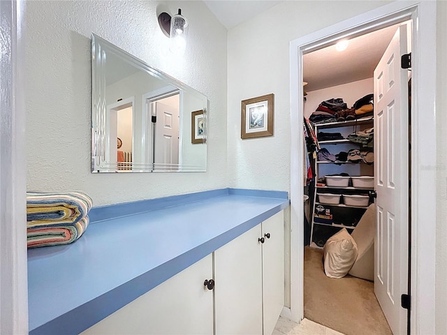 255 Lake Link Rd, Winter Haven, FL 33884 - bathroom featuring vanity, a spacious closet, and a textured wall