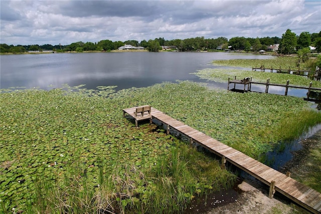 255 Lake Link Rd, Winter Haven, FL 33884 - water view featuring a boat dock