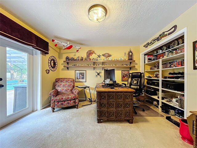 255 Lake Link Rd, Winter Haven, FL 33884 - carpeted office space featuring a textured ceiling