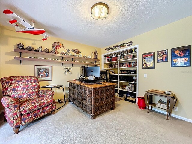 255 Lake Link Rd, Winter Haven, FL 33884 - carpeted home office featuring a textured ceiling