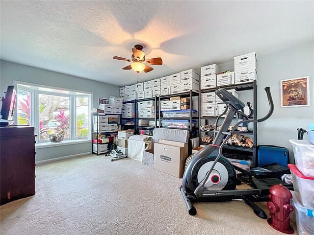 255 Lake Link Rd, Winter Haven, FL 33884 - workout room with carpet flooring, a ceiling fan, a textured ceiling, and baseboards