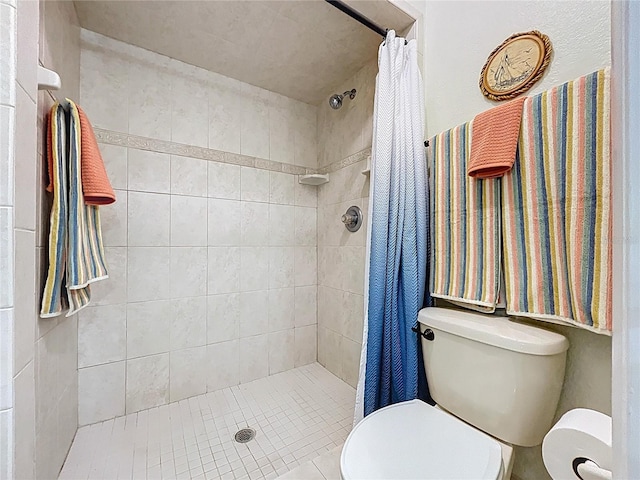 255 Lake Link Rd, Winter Haven, FL 33884 - bathroom featuring toilet and a stall shower