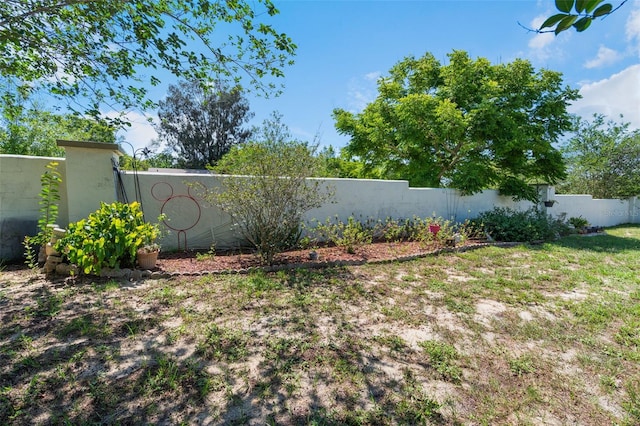 1408 Thousand Roses Dr S, Lake Wales, FL 33853 - view of fenced yard