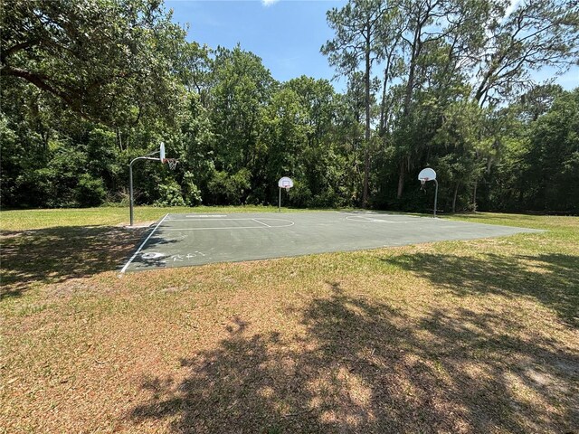 4506 Gentrice Dr, Valrico, FL 33596 - photo 59