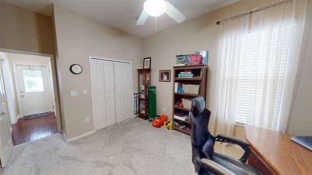4506 Gentrice Dr, Valrico, FL 33596 - photo 35