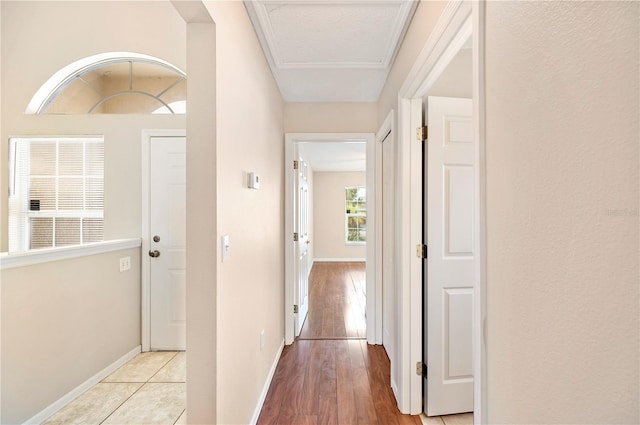 630 Heather Glen Loop, Winter Haven, FL 33884 - hall featuring baseboards and light wood-type flooring