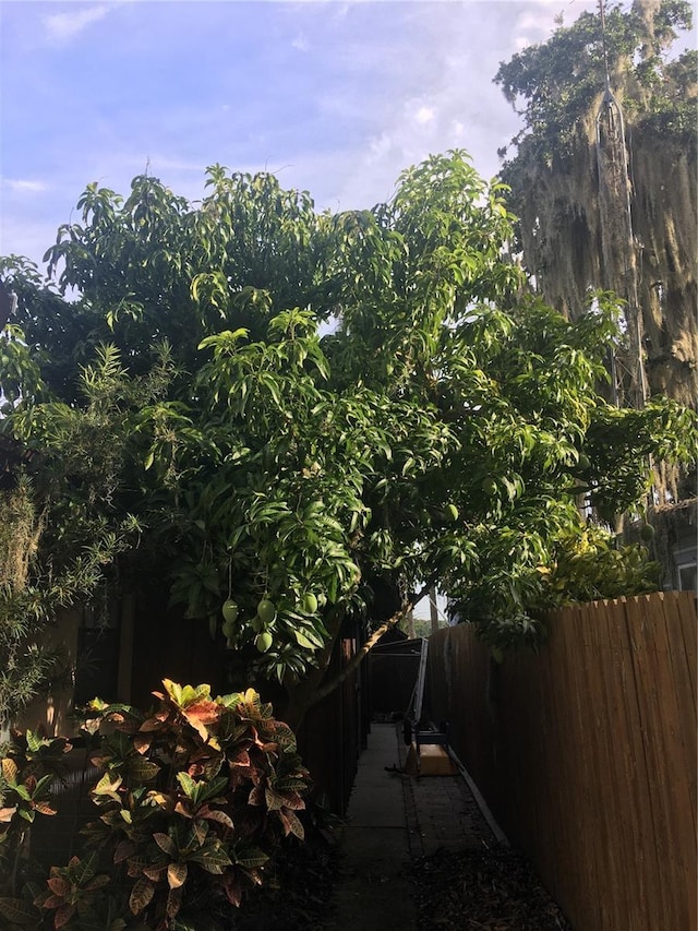 9402 Cat Track Trl, Lake Wales, FL 33898 - view of yard with fence