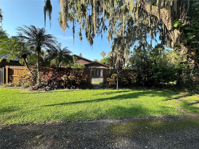 9402 Cat Track Trl, Lake Wales, FL 33898 - view of yard