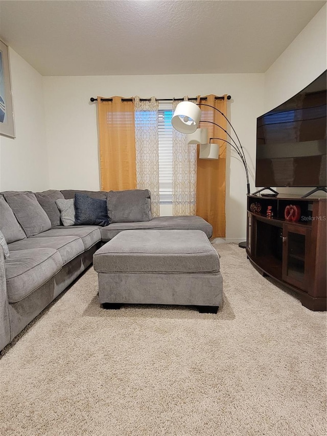 1378 Fox Squirrel Dr, Davenport, FL 33897 - living room featuring carpet floors