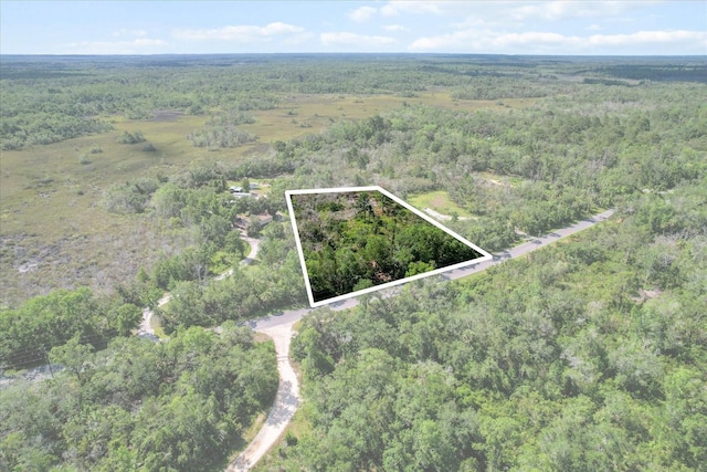 10150 W Ozello Trl, Crystal River, FL 34429