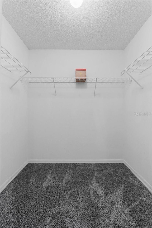 1800 Emily Dr, Winter Haven, FL 33884 - walk in closet with carpet flooring