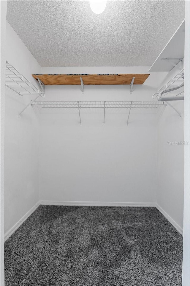 1800 Emily Dr, Winter Haven, FL 33884 - walk in closet featuring carpet floors