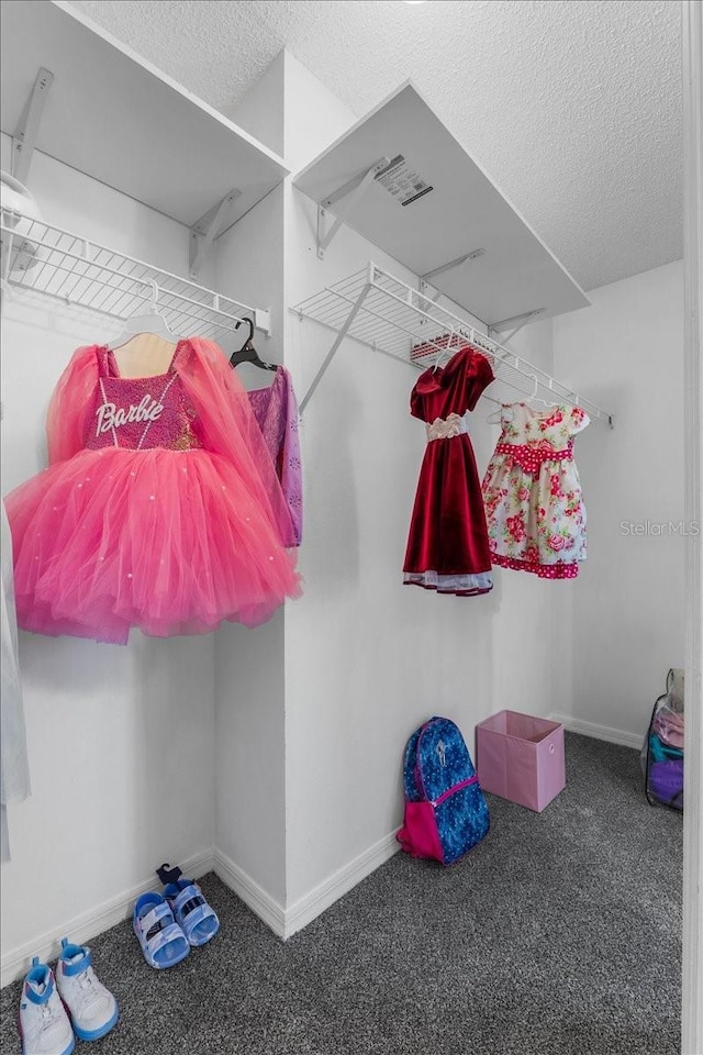 1800 Emily Dr, Winter Haven, FL 33884 - spacious closet with carpet flooring