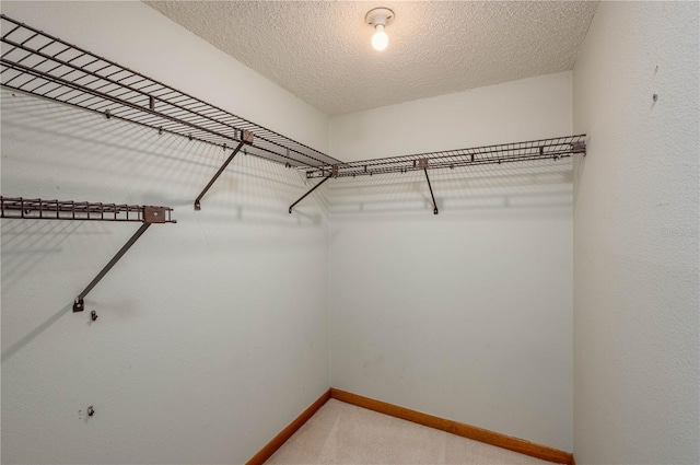 5102 Village Ct Unit E-2, Lake Wales, FL 33898 - walk in closet featuring light carpet