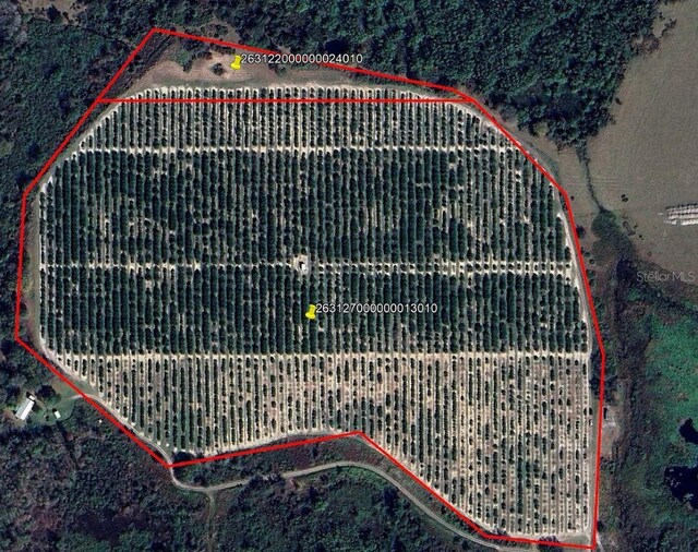 Buffum Church Rd, Fort Meade, FL 33841 - photo 1