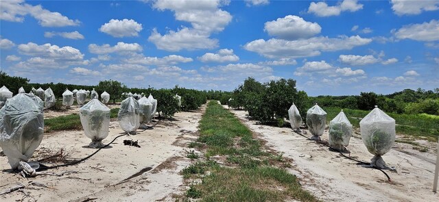 Buffum Church Rd, Fort Meade, FL 33841 - photo 9
