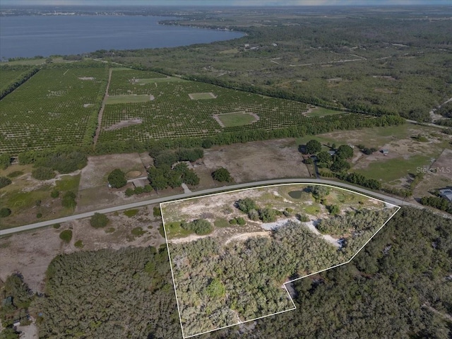1867AND1943 Old Grove Trl, Frostproof, FL 33843