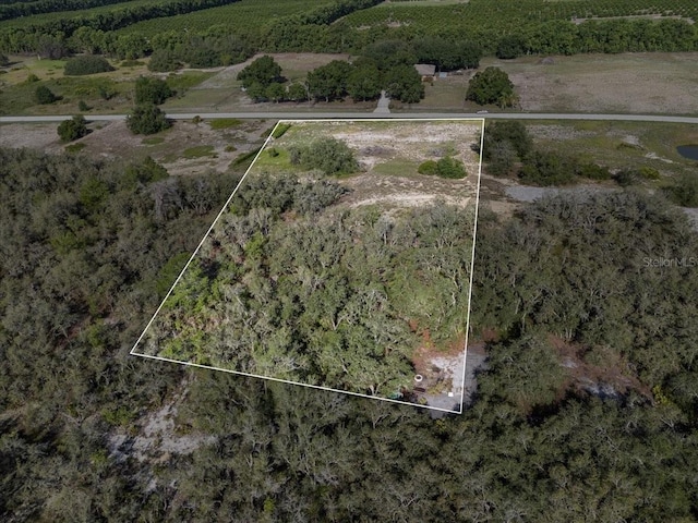 1867AND1943 Old Grove Trl, Frostproof, FL 33843