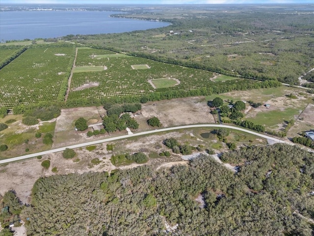 1867AND1943 Old Grove Trl, Frostproof, FL 33843