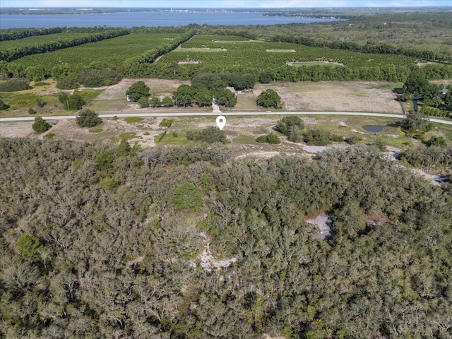 1867AND1943 Old Grove Trl, Frostproof, FL 33843