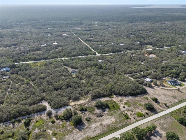 1867AND1943 Old Grove Trl, Frostproof, FL 33843