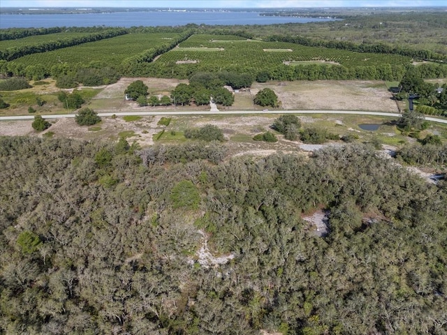 1867AND1943 Old Grove Trl, Frostproof, FL 33843