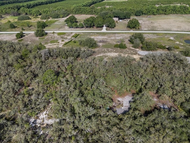 1867AND1943 Old Grove Trl, Frostproof, FL 33843