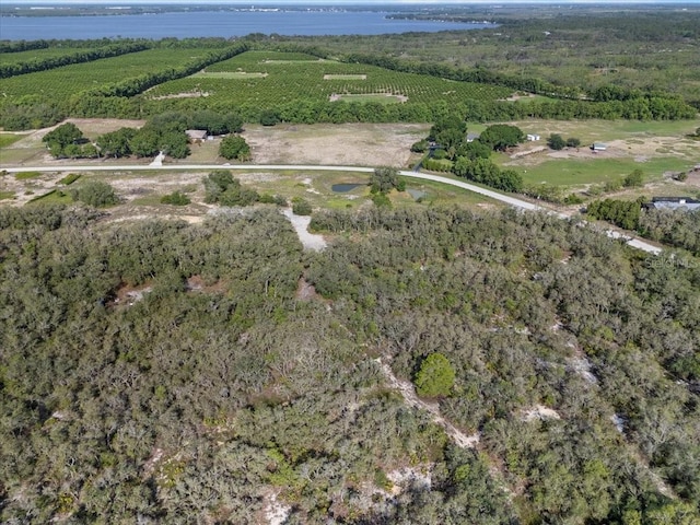 1867AND1943 Old Grove Trl, Frostproof, FL 33843