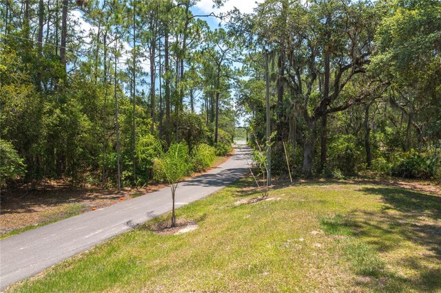 4949 Lake Kotsa Dr, Lake Wales, FL 33898 - photo 3
