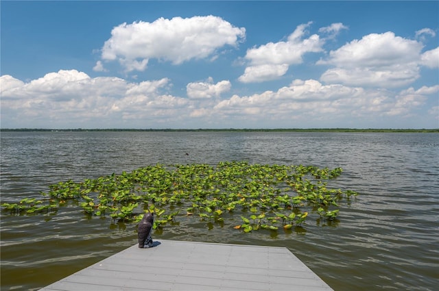 4949 Lake Kotsa Dr, Lake Wales, FL 33898 - photo 78