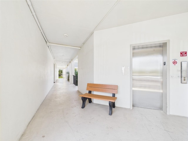 2700 Bayshore Blvd Unit 3210, Dunedin, FL 34698 - corridor with elevator and concrete flooring