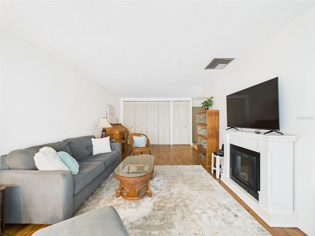 2700 Bayshore Blvd Unit 3210, Dunedin, FL 34698 - living room featuring wood finished floors and a glass covered fireplace