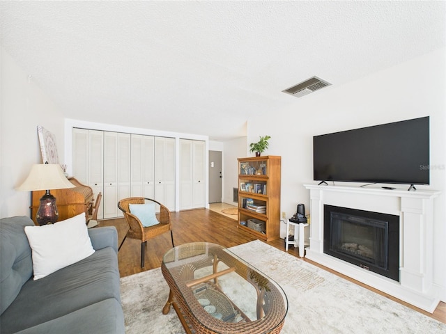 2700 Bayshore Blvd Unit 3210, Dunedin, FL 34698 - living room featuring wood finished floors, a glass covered fireplace, and a textured ceiling