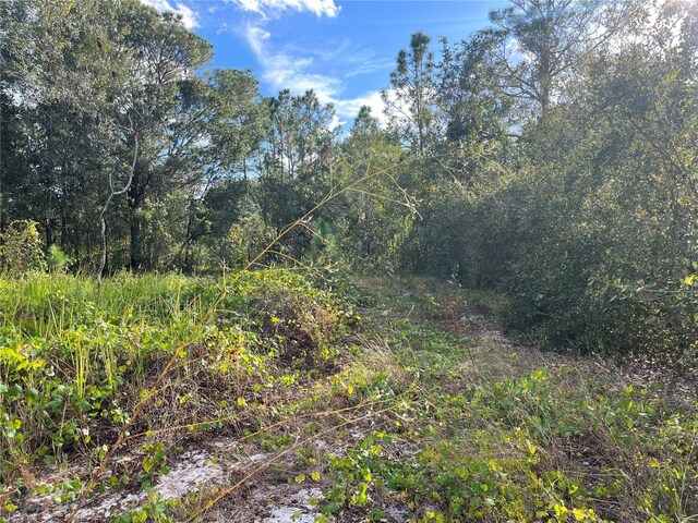 0 Oakwood Dr, Lake Wales, FL 33898 - photo 3