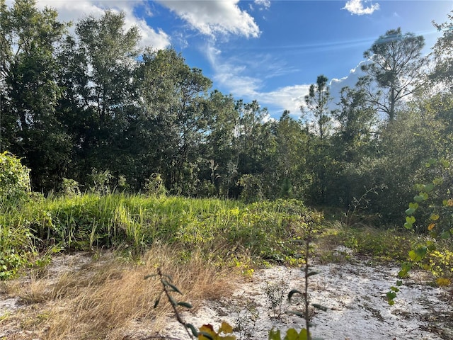 0 Oakwood Dr, Lake Wales, FL 33898 - photo 4