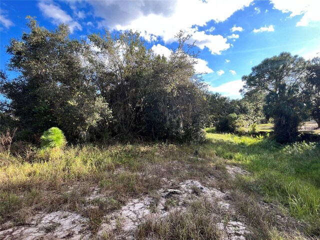 0 Oakwood Dr, Lake Wales, FL 33898 - photo 5