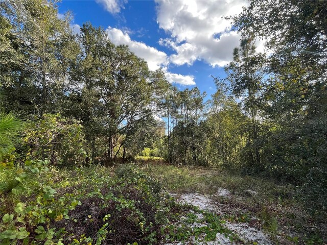 0 Oakwood Dr, Lake Wales, FL 33898 - photo 6
