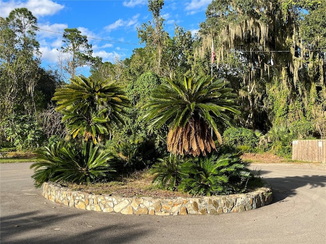 0 Oakwood Dr, Lake Wales, FL 33898 - photo 7